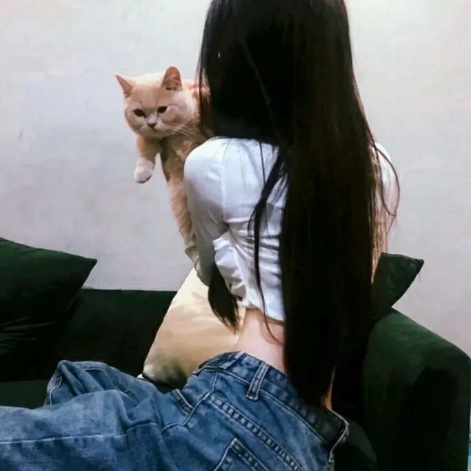 侠探简不知